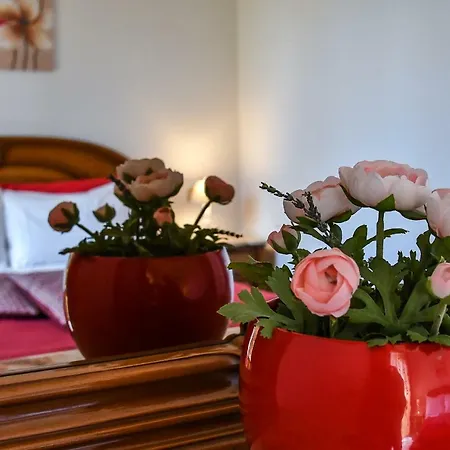 Apartment Welcome Assisi